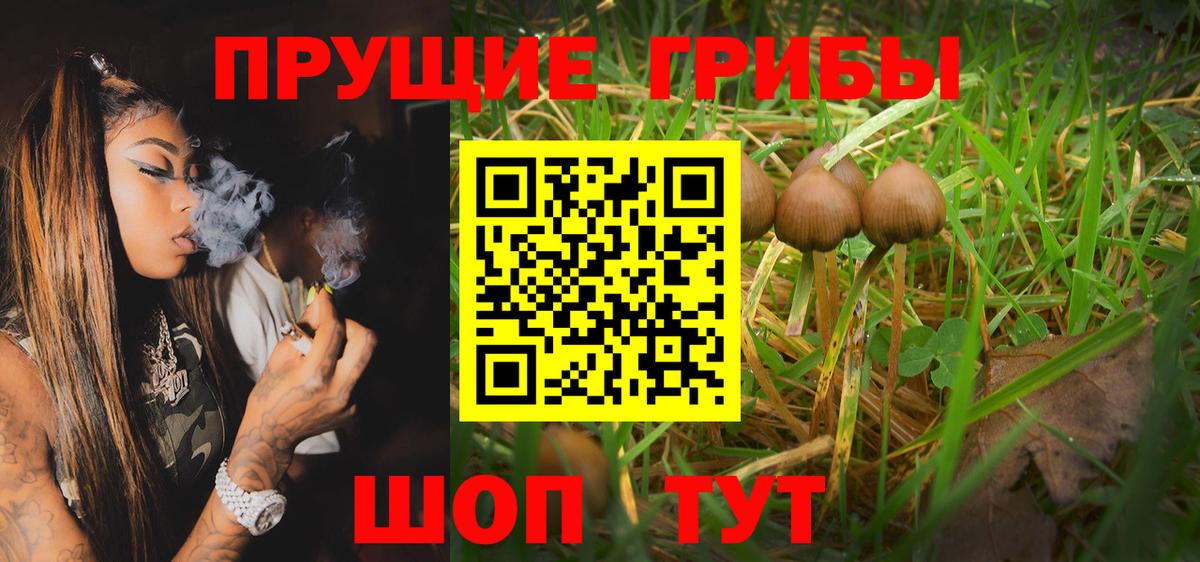 Галлюциногенные грибы GOLDEN TEACHER Губаха
