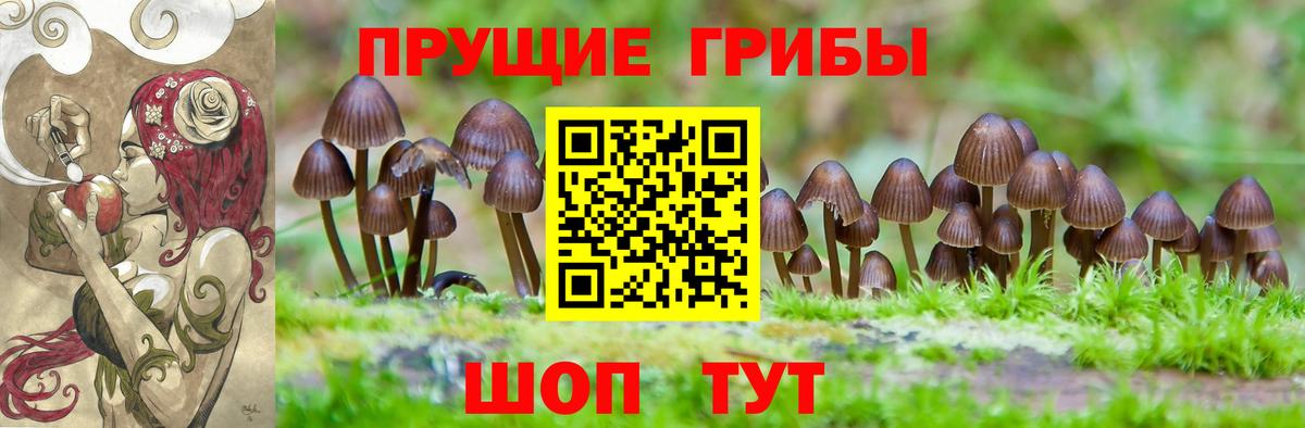 Псилоцибиновые грибы Psilocybe  Галлюциногенные грибы мицелий  Вход с VPN  Губаха 