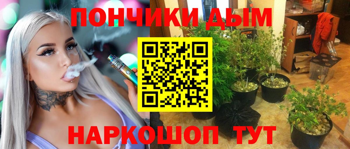 Губаха  Шишки марихуана конопля  Вход с VPN  Конопля White Widow 