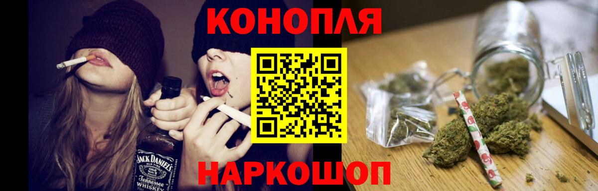 Шишки марихуана план Губаха